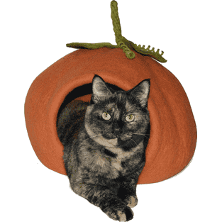 Abri Citrouille Orange