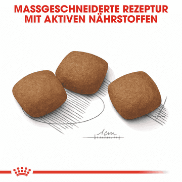 Joint Care Maxi