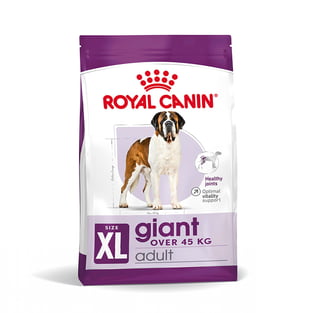 Giant Adult