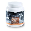 Horse Dynamic POWER PLUS + Magnesium + Lysine