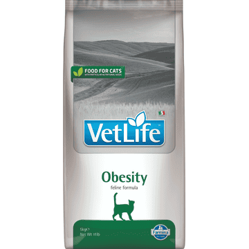 Feline Obesity
