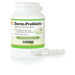 Darm-Probiotic