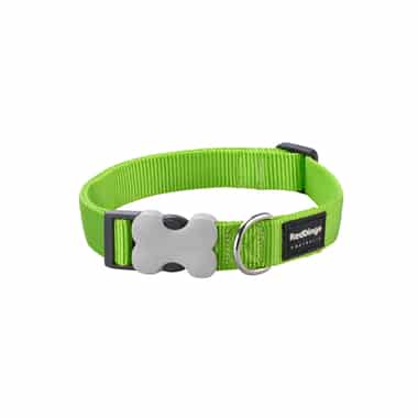 Collier Plain Classic Lime Green