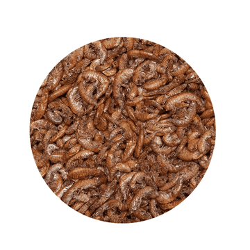 Snacks Gammarus