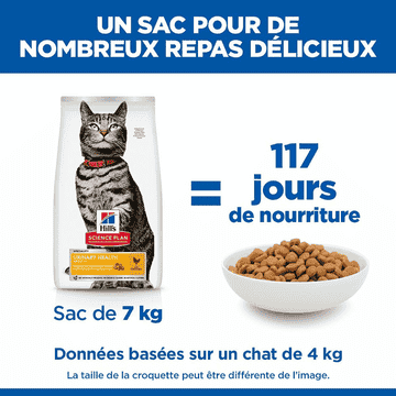Feline Urinary Health