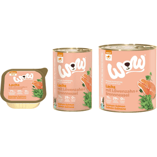 Adult, Saumon avec Pissenlit et Ortie
