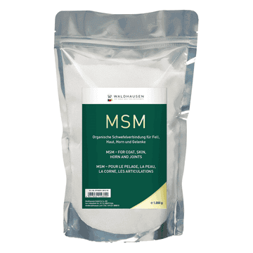 MSM
