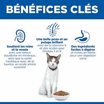 Feline Senior 11+