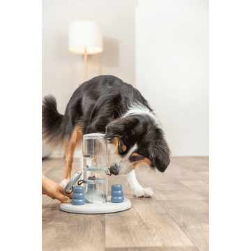 Dog Activity Gambling Tower