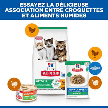 Kitten Ocean Fish - Sachets de nourriture fraîche