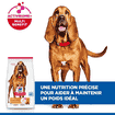 Canine Mature Adult 7+ Light Medium Breed