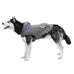 Poncho gris