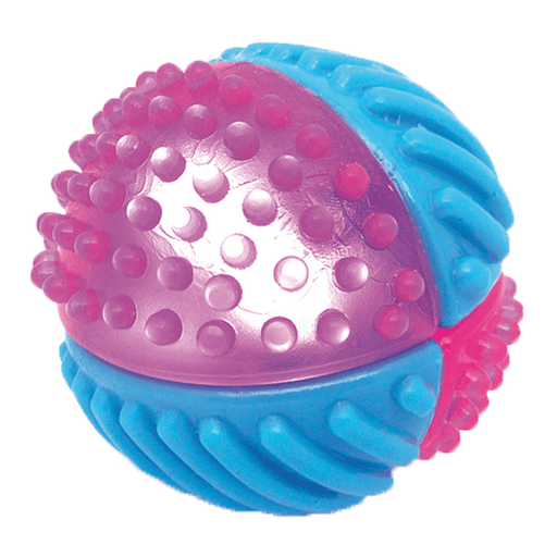 swisspet Flash-Nightballs & Frisbees