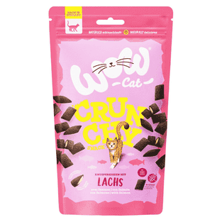 Crunchy Snack mit Lachs