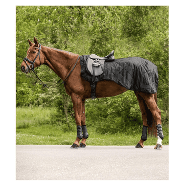 Nierendecke Exclusive black