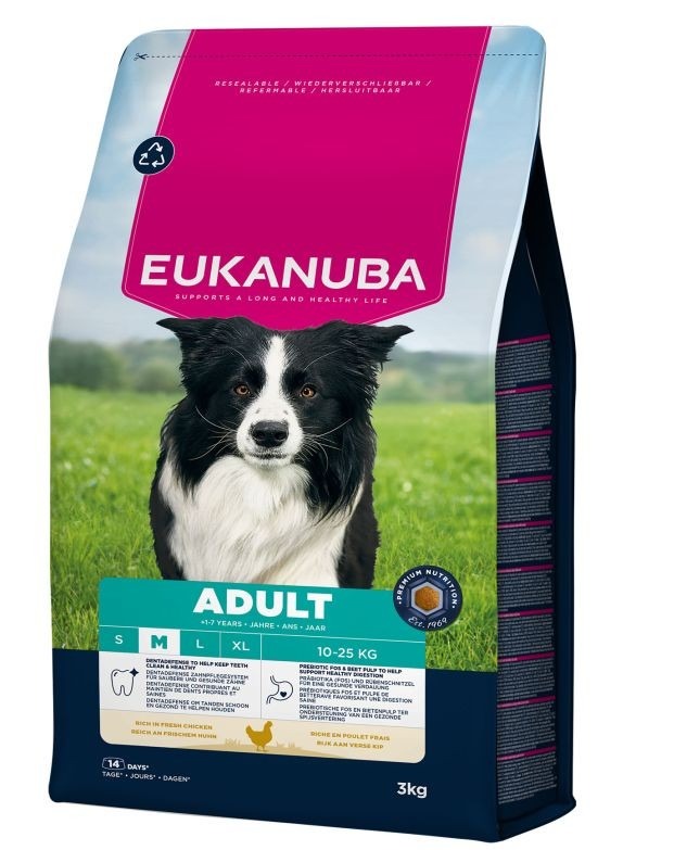 Active Adult Medium Breed