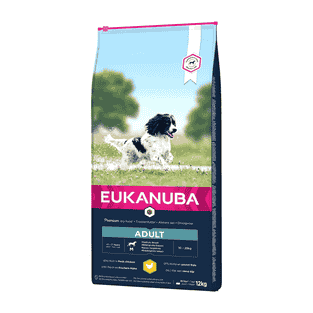 Active Adult Medium Breed