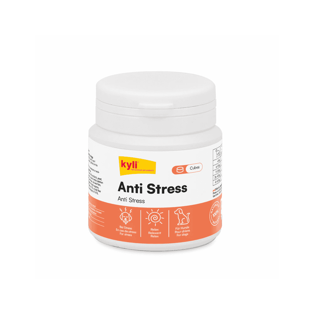 Anti Stress Cubes