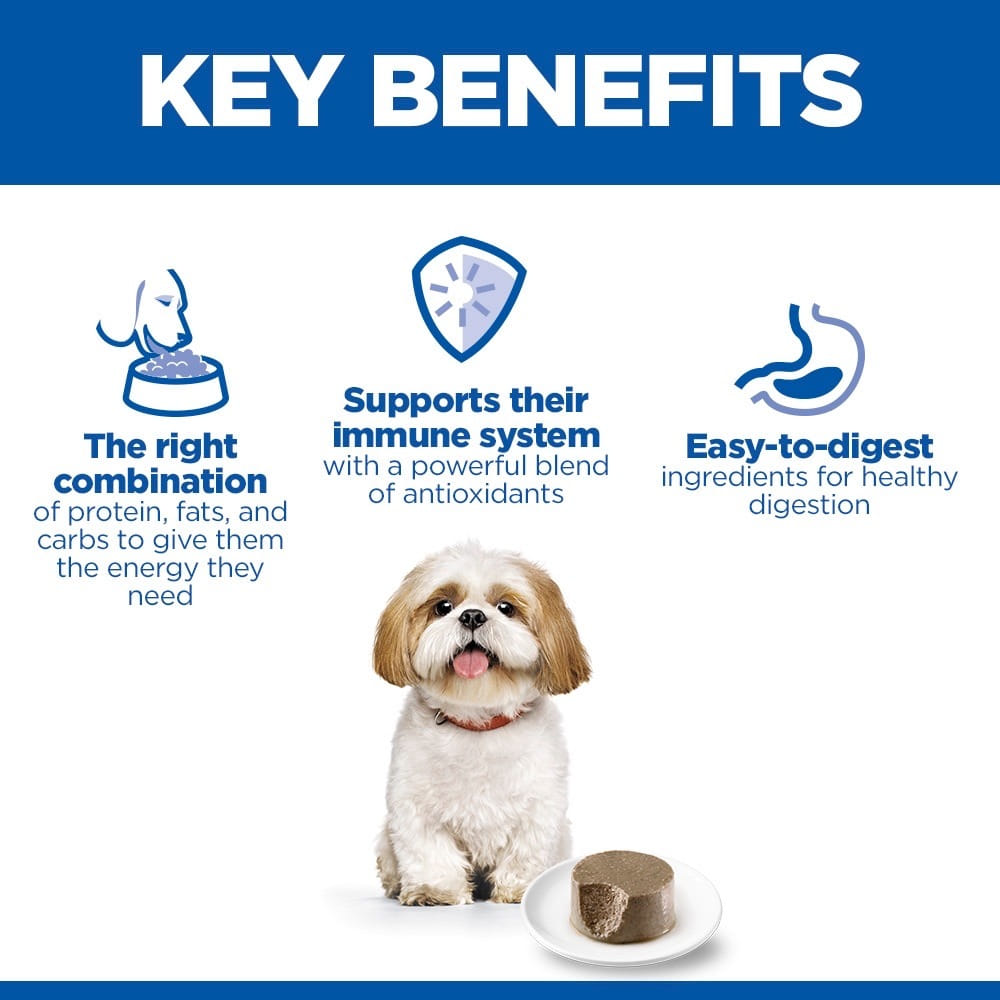 Canine Small & Mini Breed Mature Adult Beef - Can