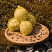 Tit dumpling with net
