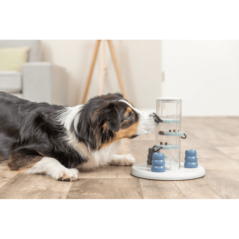 Dog Activity Gambling Tower