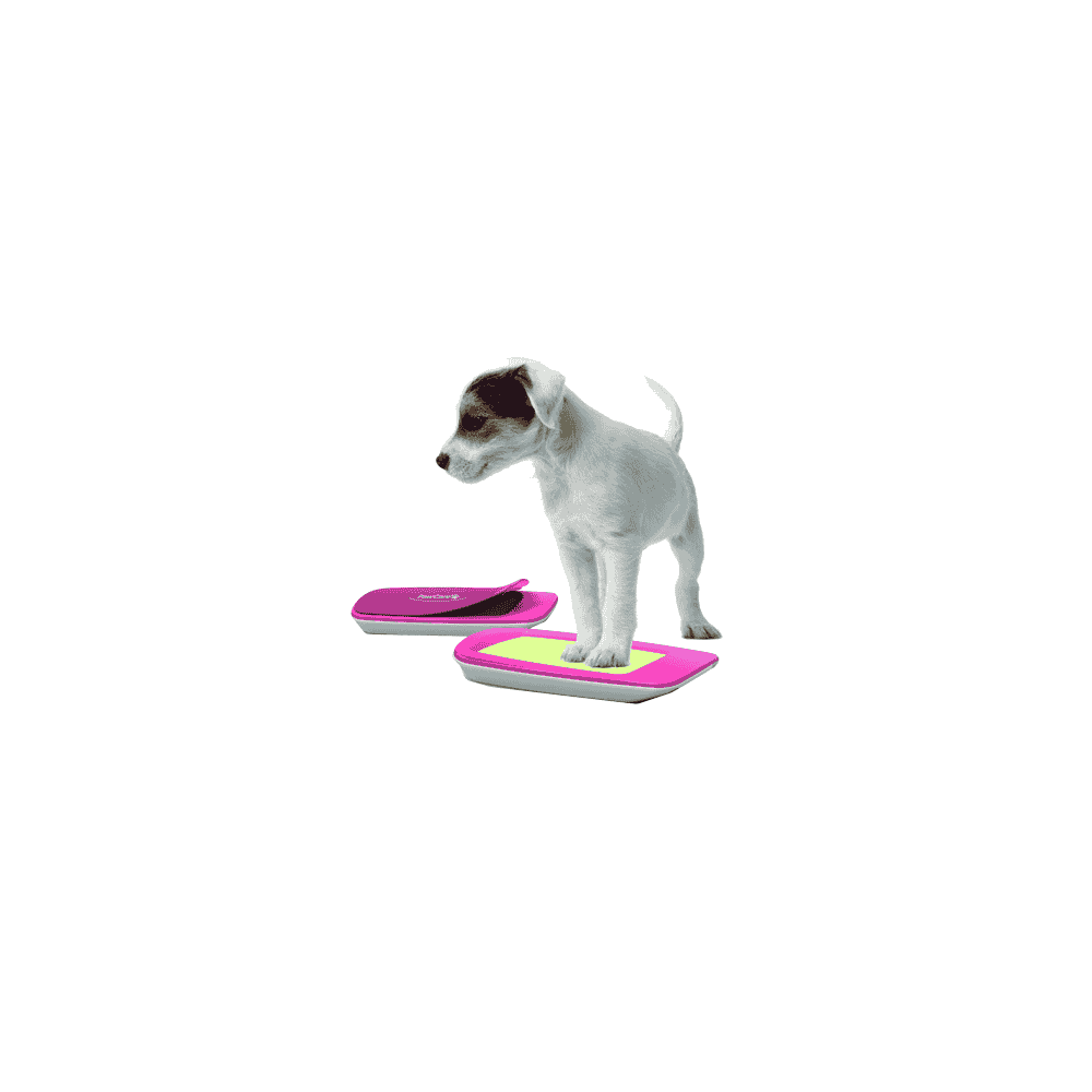 PawCare pour des pattes propres