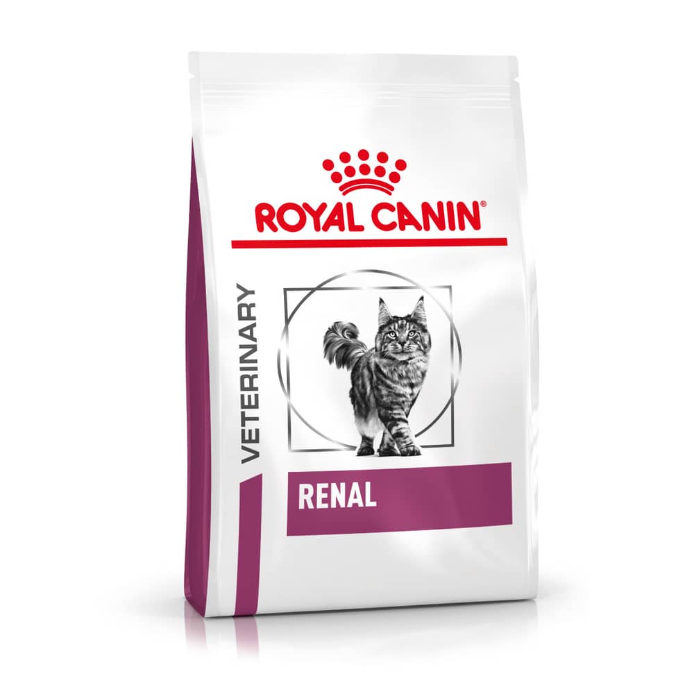 Renal Cat