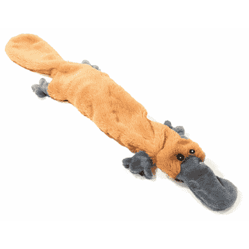 Schlappi Schnabeltier