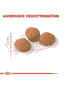 Protein Exigent