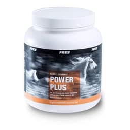 Horse Dynamic POWER PLUS + Magnésium + Lysine