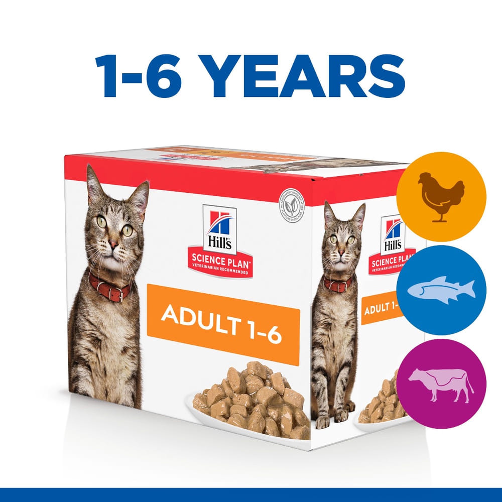 Feline Favourite Selection Adult - Fresh pouches