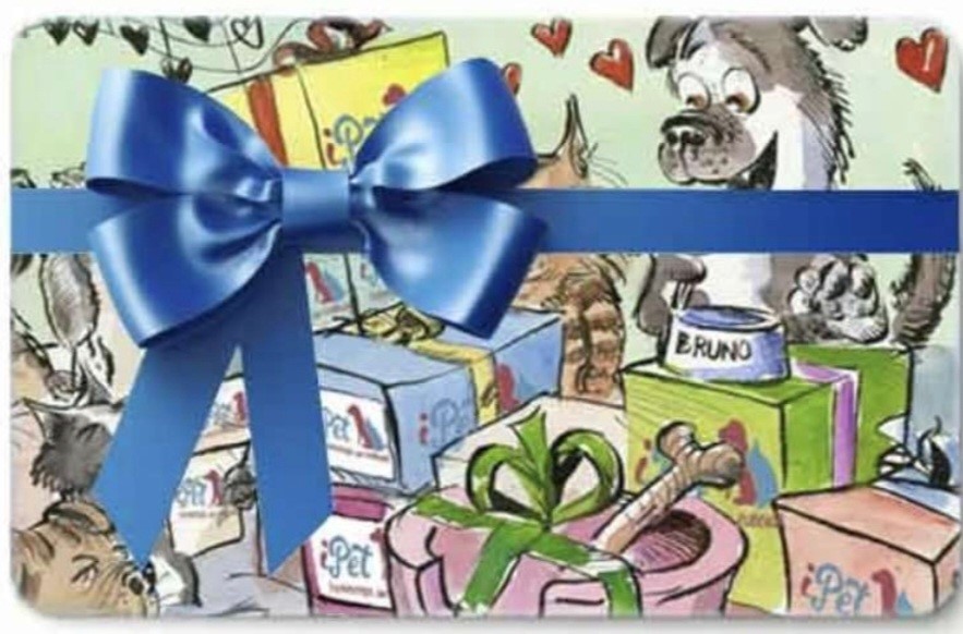 Online Geschenkgutschein Fr. 100.-