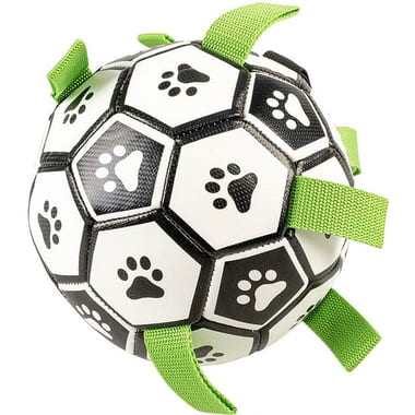 Football canin