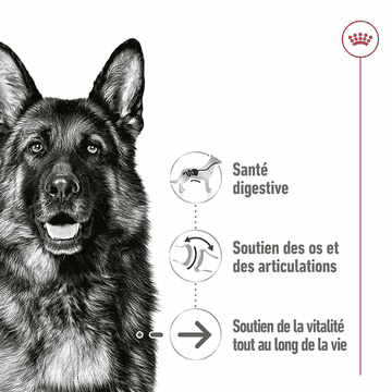 Maxi Ageing Loaf - Boîte
