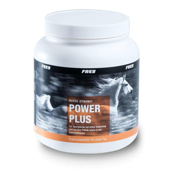 Horse Dynamic POWER PLUS + Magnesium + Lysine