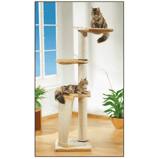 Arbre à chats Pisa