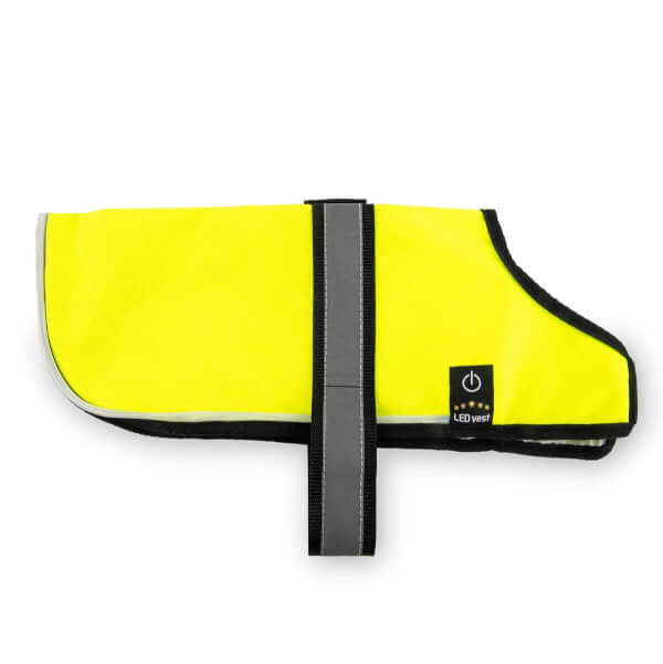 Light-Vest