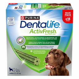 Dentalife ActivFresh Large