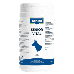 Senior Vital
