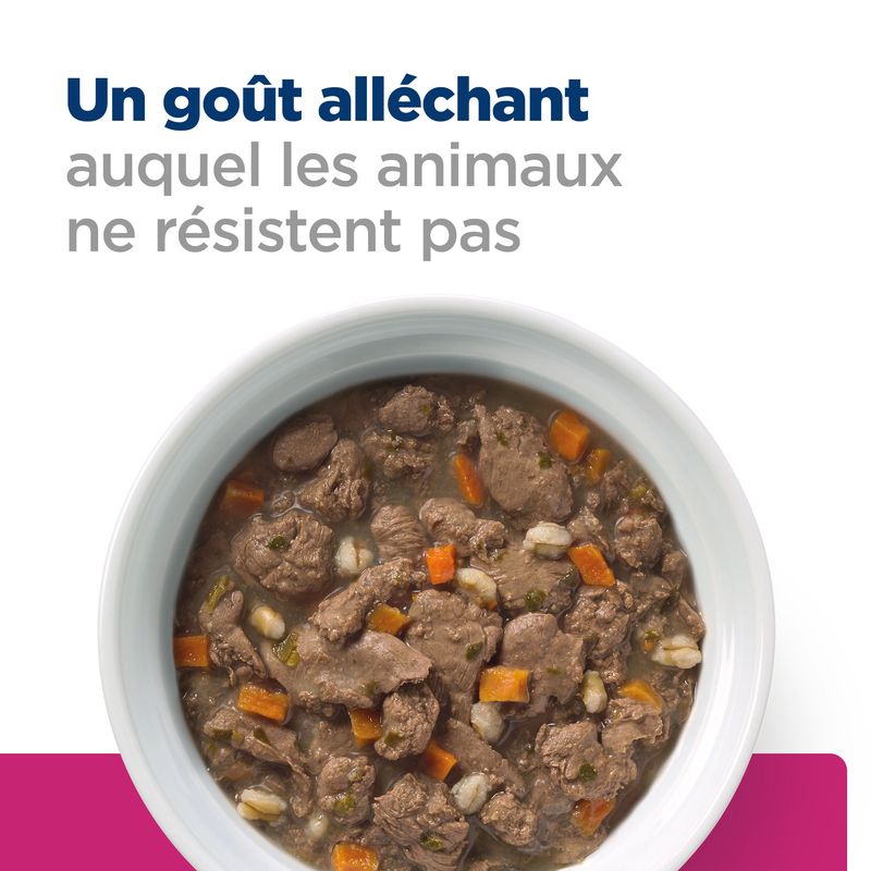 Feline Gastrointestinal Biome Chicken Stew - Boîte