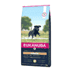Junior Large & Giant Breed