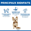 Canine Adult Small+Mini Breed Agneau &amp; Riz