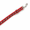 DoggyLine lead, 25 mm / 180 cm, red