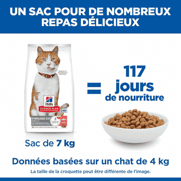 Feline Sterilised Cat Salmon
