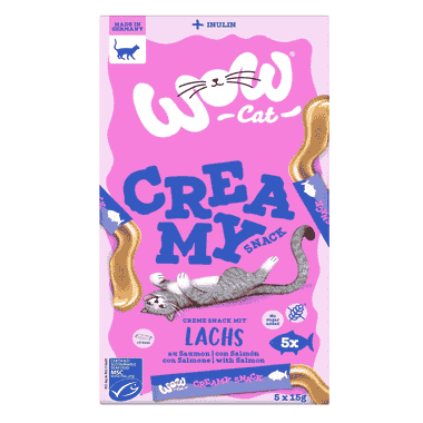 Creamy Snack au saumon
