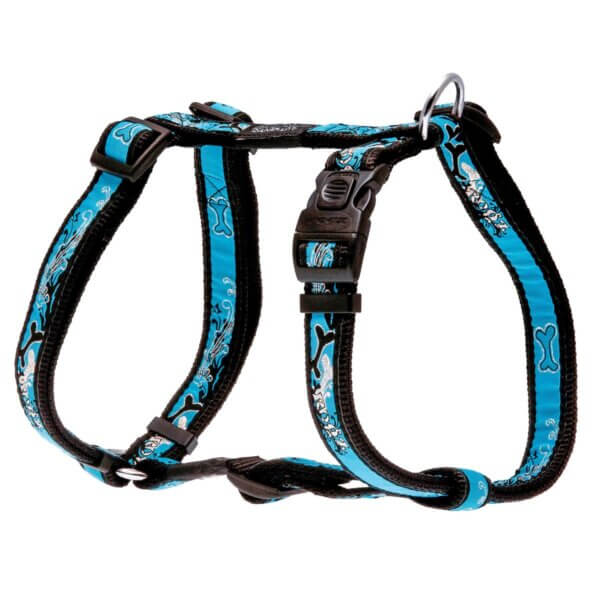 Harnais pour chien Fancy Dress XL