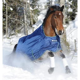 Couverture d'hiver Smartex Extra Classic 300 g - bleu