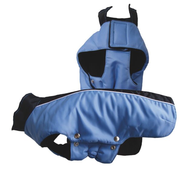 Hundemantel Young Spirit Blau