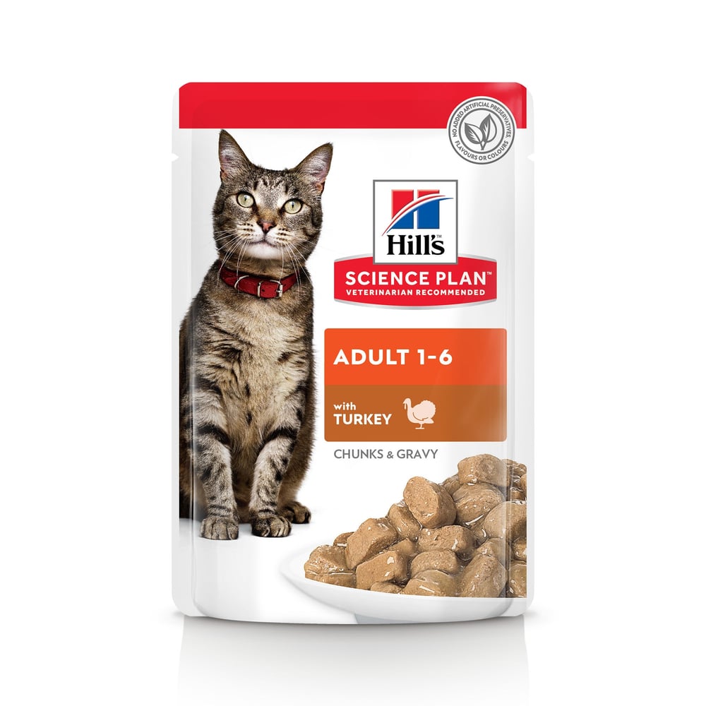 Feline Adult Turkey - Frischebeutel