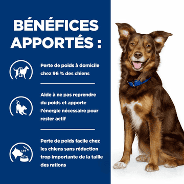 Canine Metabolic Weight loss & Maintenance Lamb & Rice
